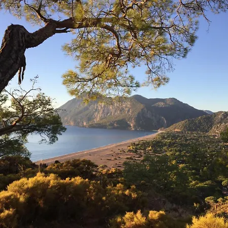 Ξενοδοχείο Nerissa Çıralı