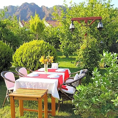 Nerissa 3* Çıralı