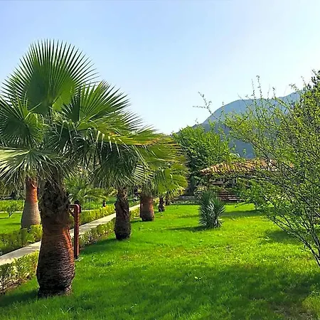 ホテル Nerissa Çıralı