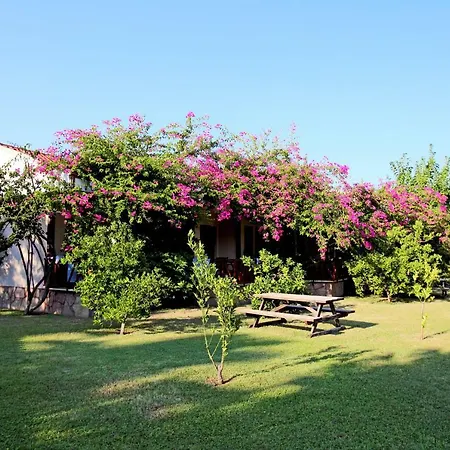 Hotel Nerissa 3*