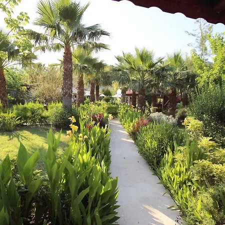 Hotel Nerissa 3*
