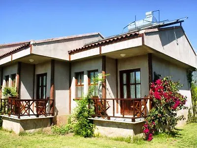 Nerissa 3*