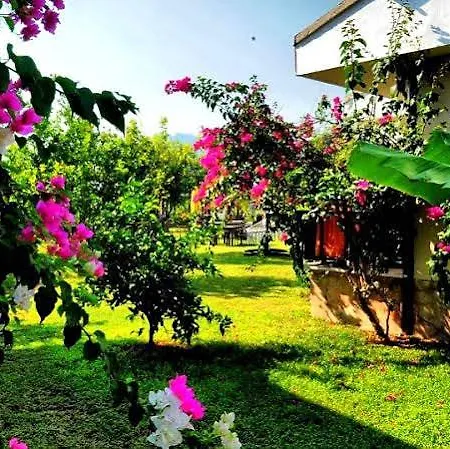 Nerissa Hotel 3*